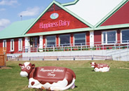 ハッピネスデーリィ